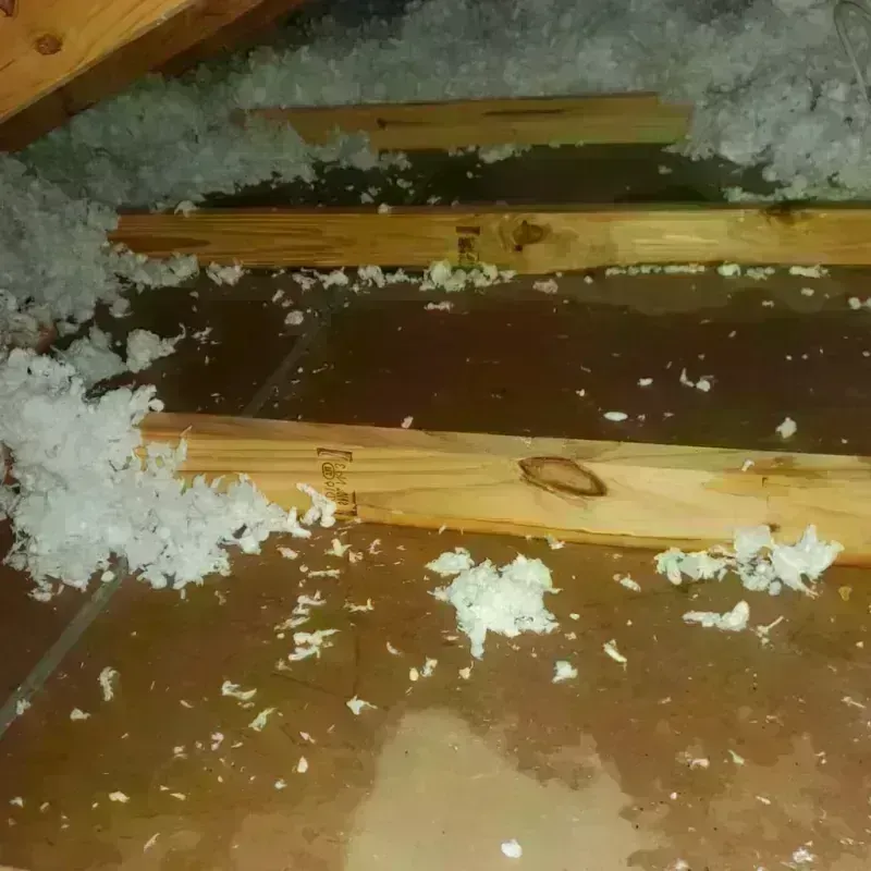 Attic Water Damage in Cranberry Township, PA